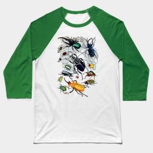 Coleoptera Beetles and Weevils J Mayson Natural Baseball T-Shirt